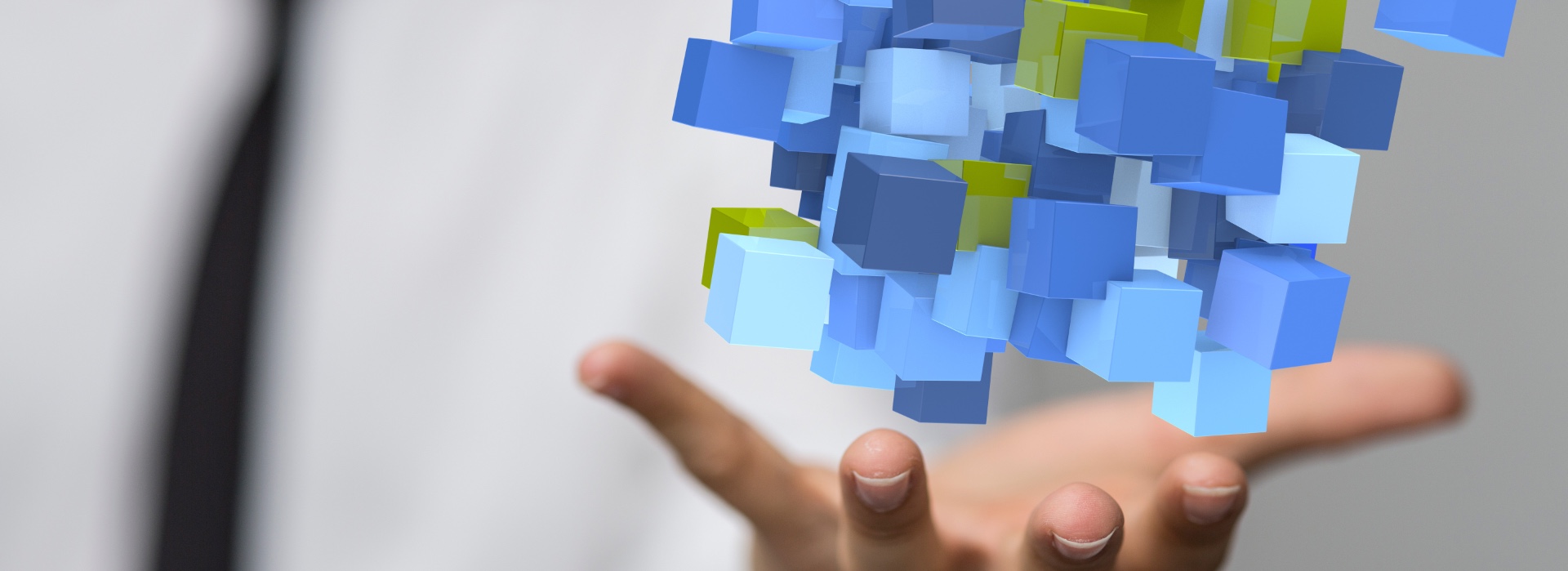 Software-Entwicklung